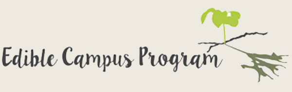tfig logo