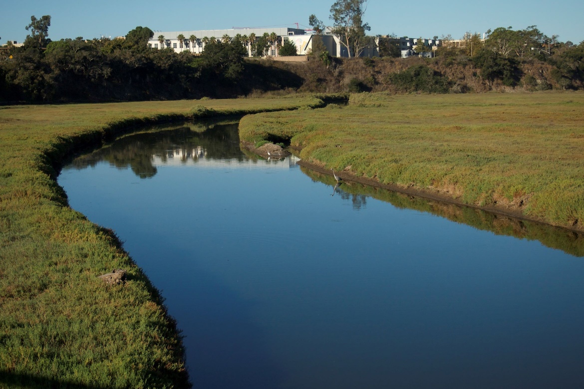 Goleta Slough