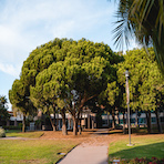 Santa Rosa Residential Hall