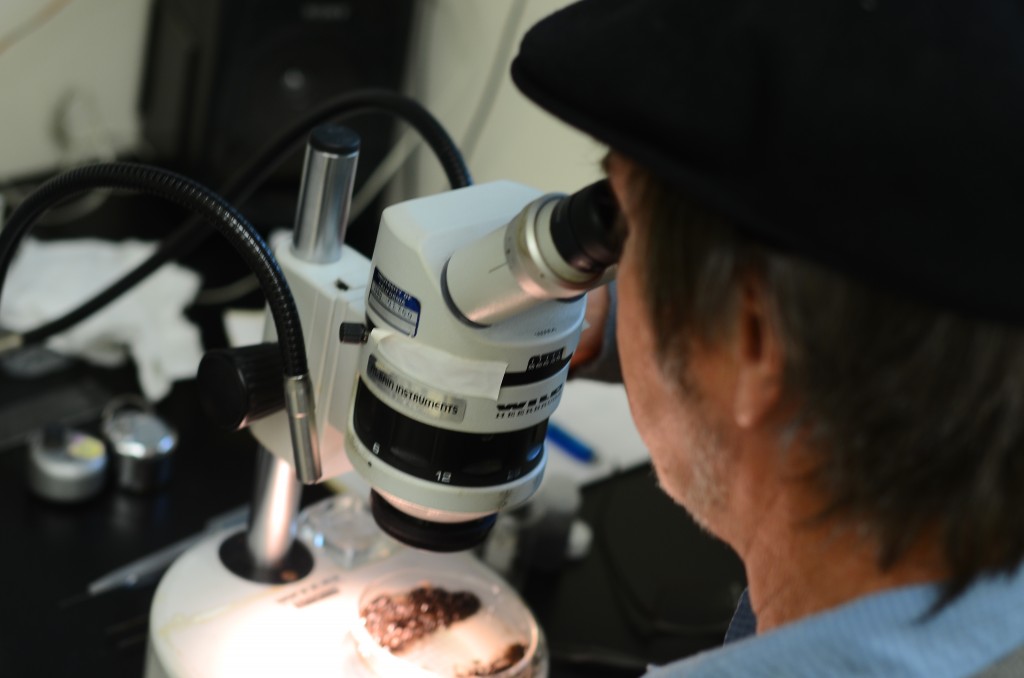 person looking through microscope